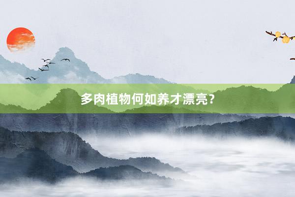 多肉植物何如养才漂亮？
