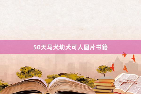 50天马犬幼犬可人图片书籍